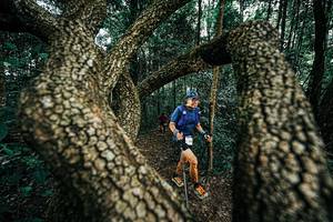 BIB: 
                            <button type="button" onclick="openModal(25394112)" class="btn btn-primary btn-sm float-right btn-popup" data-toggle="modal" data-target=".modal-high-quality">
                        <i class="fas fa-shopping-cart"></i> Add to Cart
                    </button>
                                            <button type="button" onclick="isThisMe(25394112, true)" class="btn btn-success btn-sm float-right btn-popup btn-isme hidden" data-toggle="tooltip" data-placement="bottom" title="นี่คือรูปของคุณใช่ไหม คลิกที่นี่เพื่อเอาเข้าอัลบั้ม">
                        <i class="fas fa-plus"></i> Add to album
                    </button>
                    <button type="button" onclick="isThisMe(25394112, false)" class="btn btn-warning btn-sm float-right btn-popup btn-isnotme hidden">
                        <i class="fas fa-ban"></i> Remove from album
                    </button>